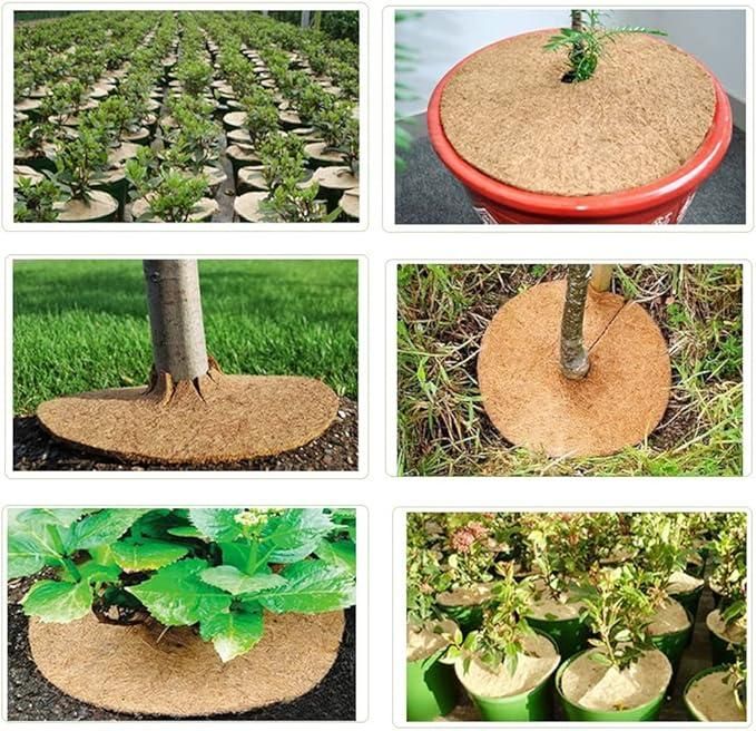 Natural Coconut Coir Mats (Pack of 6pc)