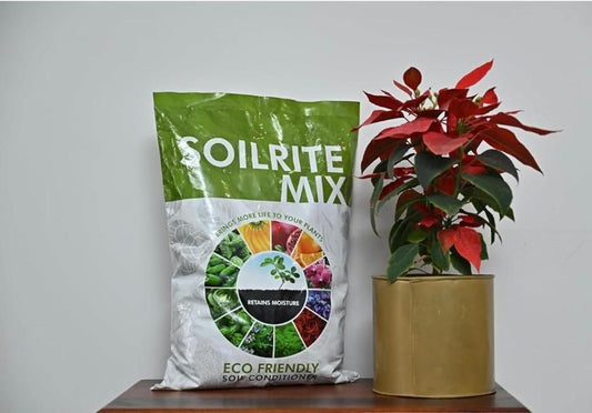 Soil Conditioner Potting Mix
