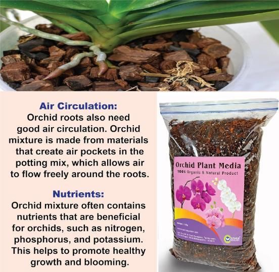 Orchid Potting Mixture - Orchid Plants Ready to Use 350gm